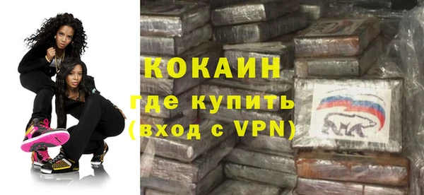 хмурый Алексин