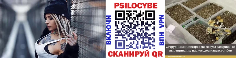 Псилоцибиновые грибы MAGIC MUSHROOMS  купить   сайты даркнета Telegram  Полтавская 